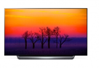 LG 65C8LLA OLED TV Gerät